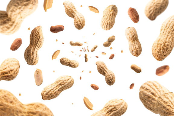 A Parent’s Guide to the EarlyNuts Study