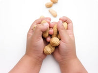 Baby's hands holding several peanuts
