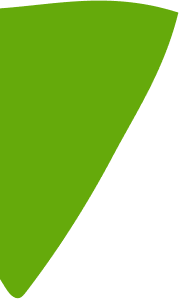 Green shape