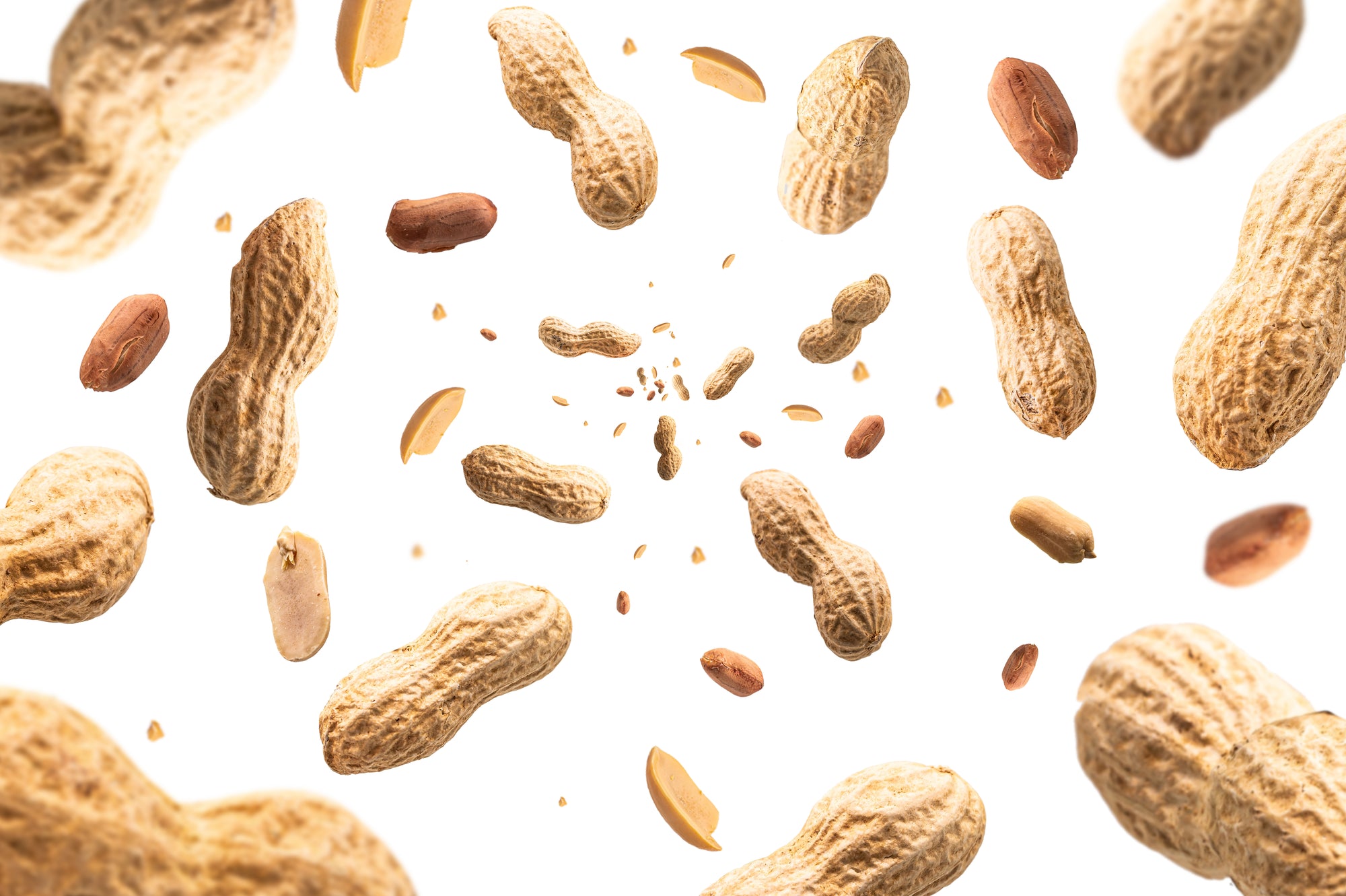 A Parent’s Guide to the EarlyNuts Study