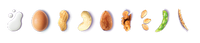 Image of 9 allergens, egg, milk, peanut, cashew, almond, walnut, sesame, soy, and wheat