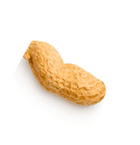 a whole peanut