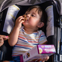 Organic Oat & Fruit Bars - Daniel Tiger Blueberry Banana