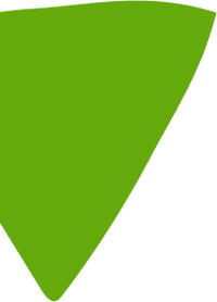 Green triangle shape